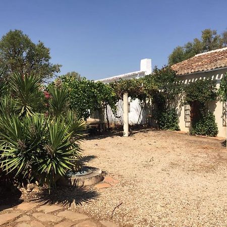 Casa Rural La Navarra Villarrobledo Kültér fotó