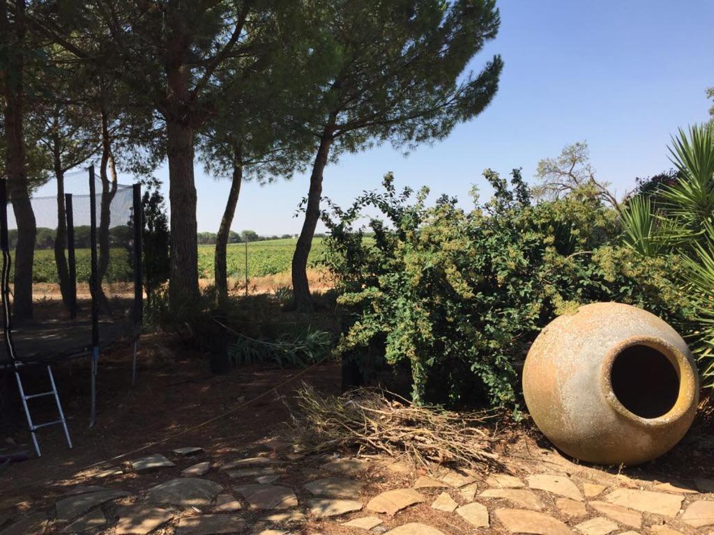 Casa Rural La Navarra Villarrobledo Kültér fotó