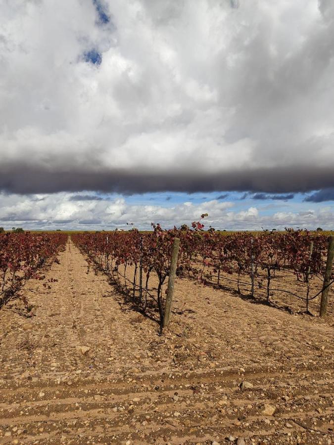 Casa Rural La Navarra Vendégház Villarrobledo Kültér fotó