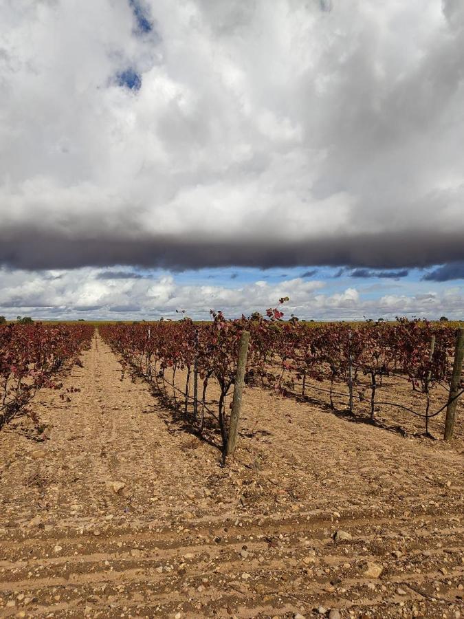 Casa Rural La Navarra Villarrobledo Kültér fotó