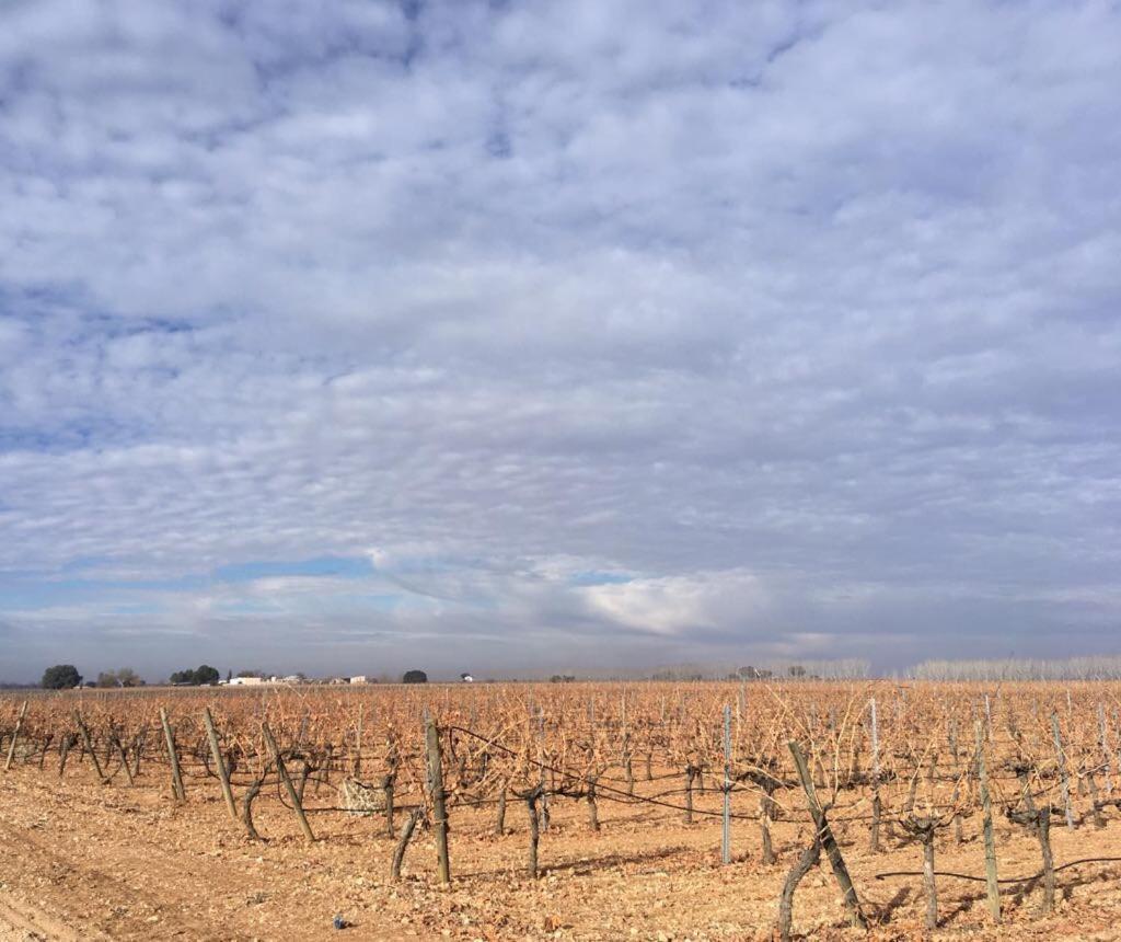 Casa Rural La Navarra Vendégház Villarrobledo Kültér fotó