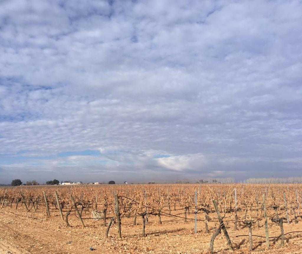 Casa Rural La Navarra Villarrobledo Kültér fotó