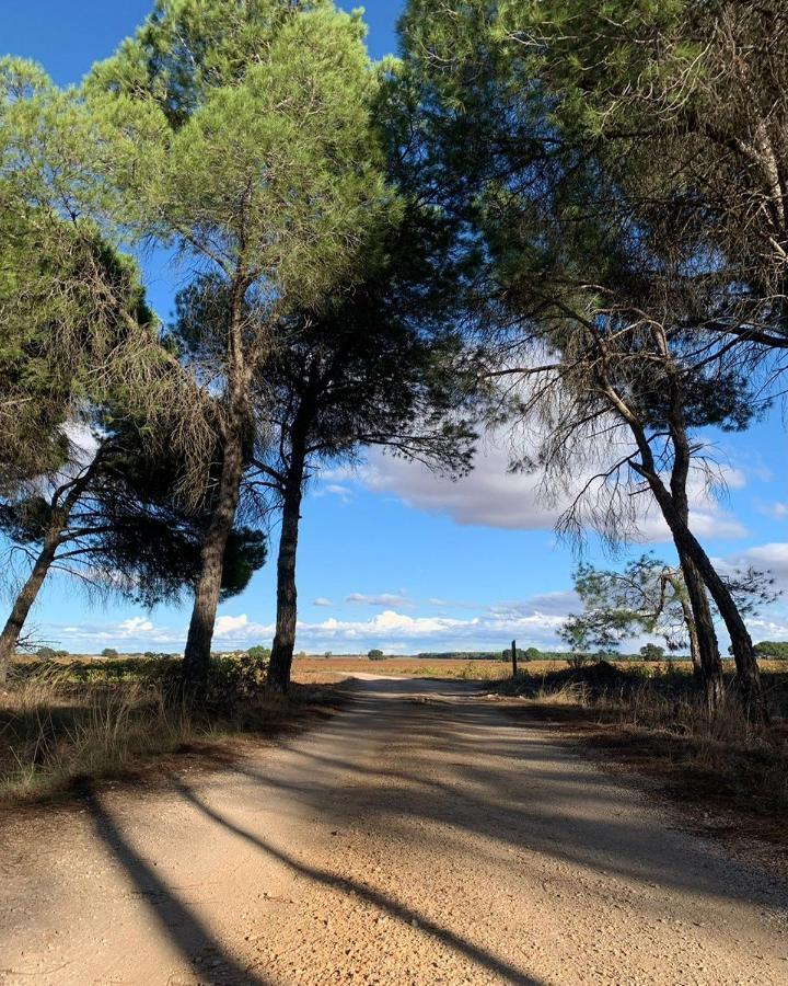 Casa Rural La Navarra Villarrobledo Kültér fotó