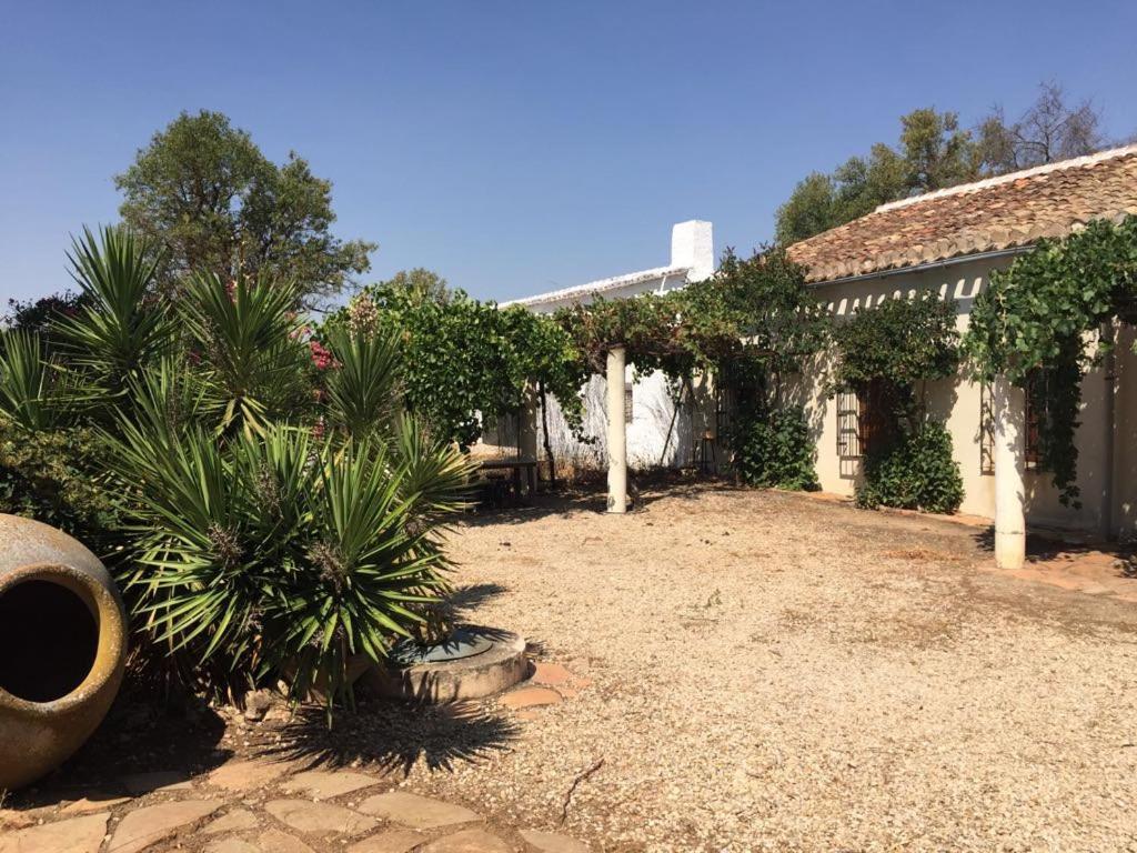Casa Rural La Navarra Villarrobledo Kültér fotó