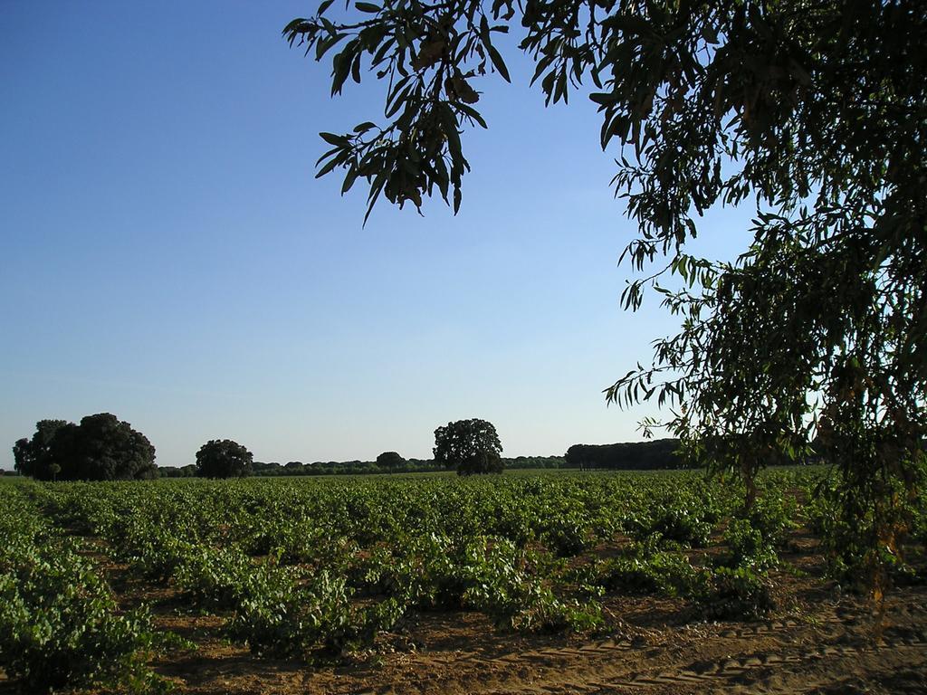 Casa Rural La Navarra Villarrobledo Kültér fotó